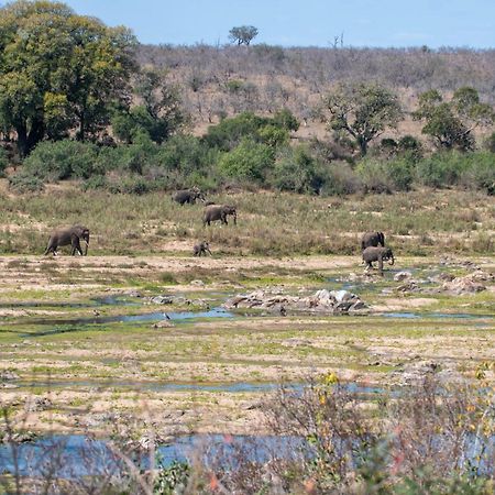 Foxy Crocodile Bush Lodge & Kruger Safari'S - No Loadshedding Marloth Park Buitenkant foto