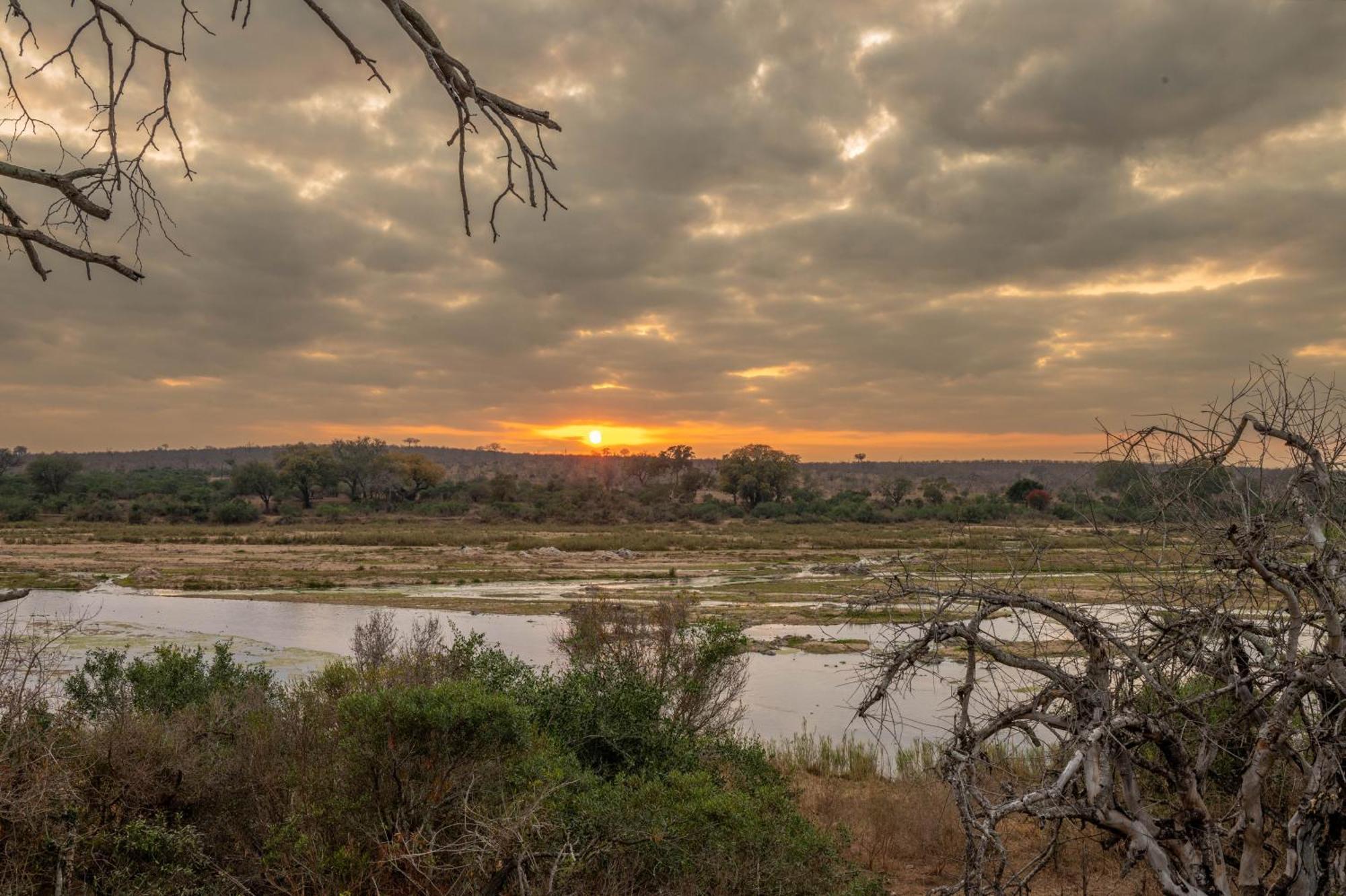 Foxy Crocodile Bush Lodge & Kruger Safari'S - No Loadshedding Marloth Park Buitenkant foto