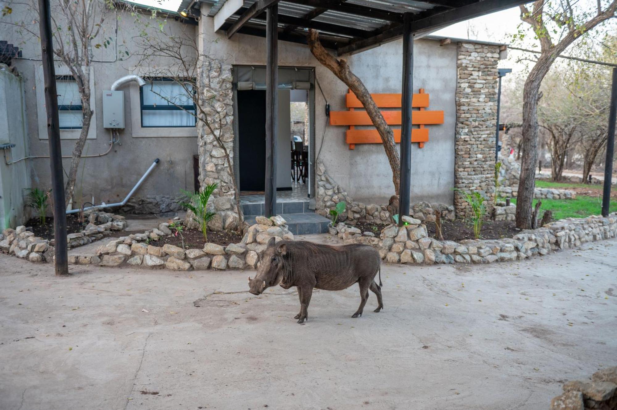 Foxy Crocodile Bush Lodge & Kruger Safari'S - No Loadshedding Marloth Park Buitenkant foto